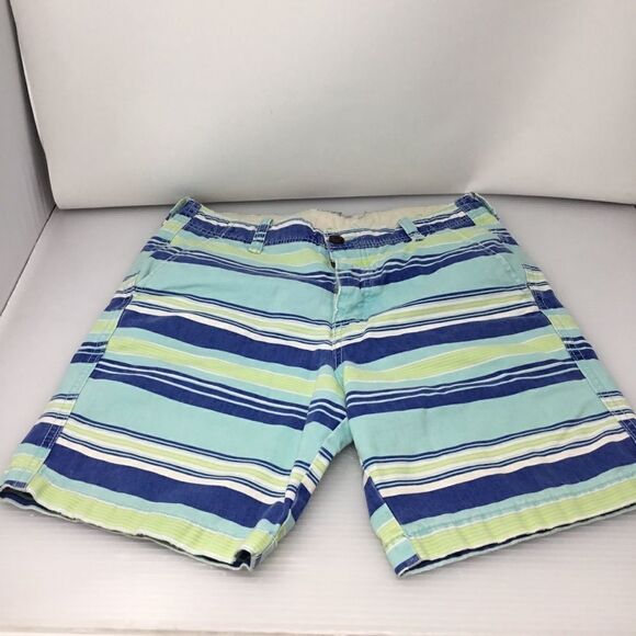 American Eagle Outfitters Other - American Eagle Striped Button Fly Shorts (UC4)